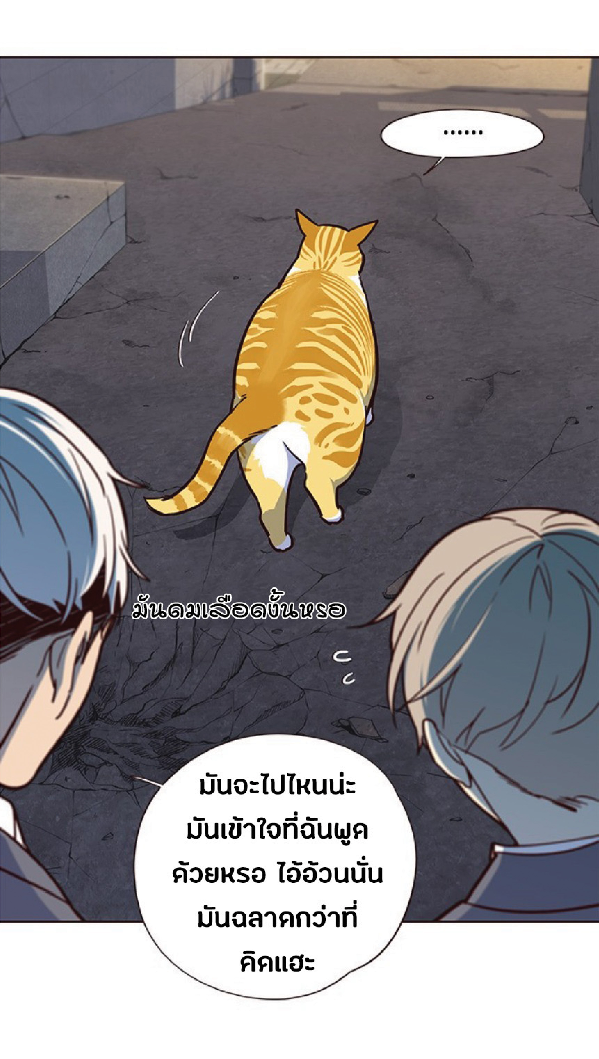 เธ•เธญเธเธ—เธตเน 41 55