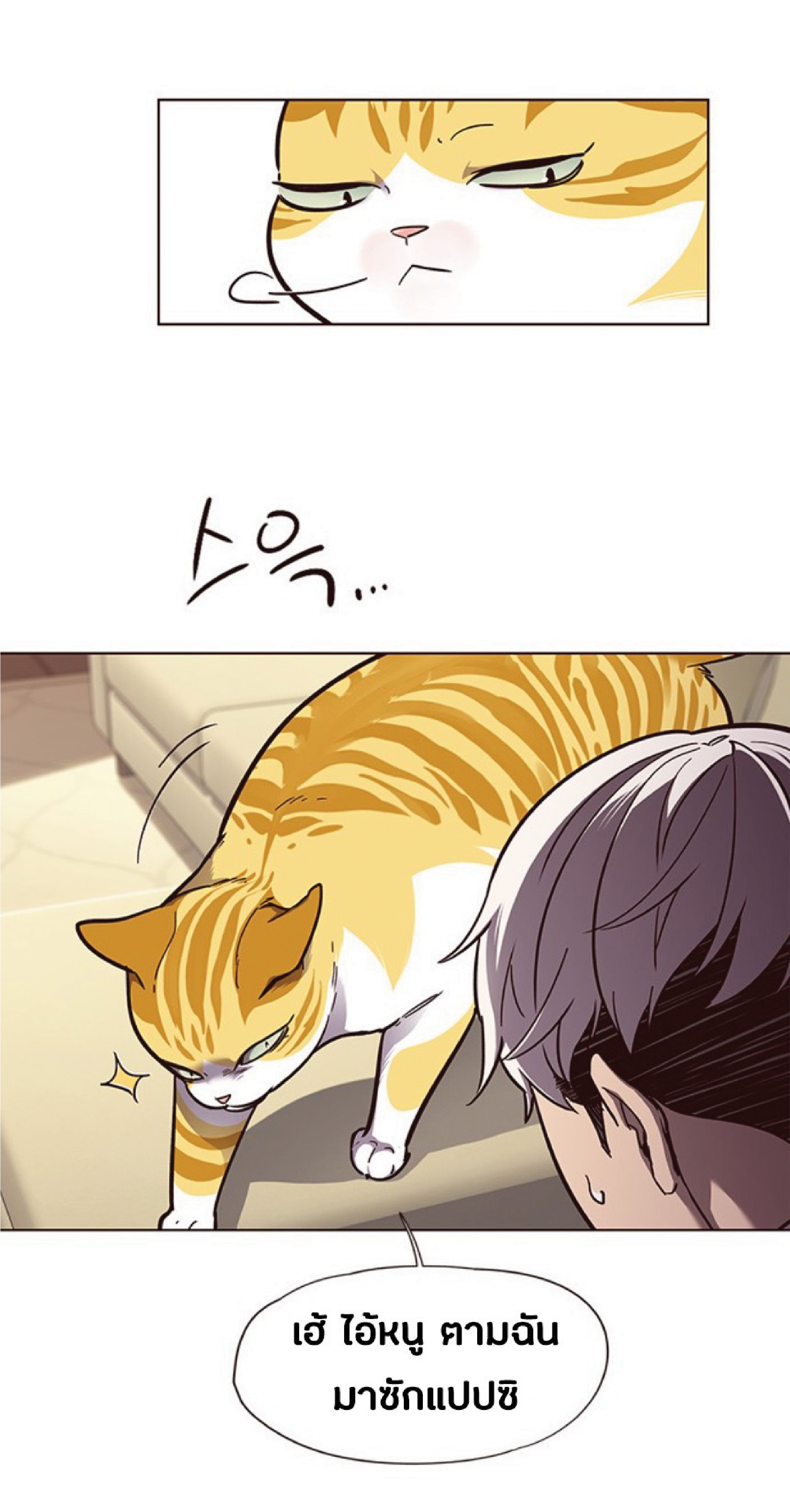 เธ•เธญเธเธ—เธตเน 50 15