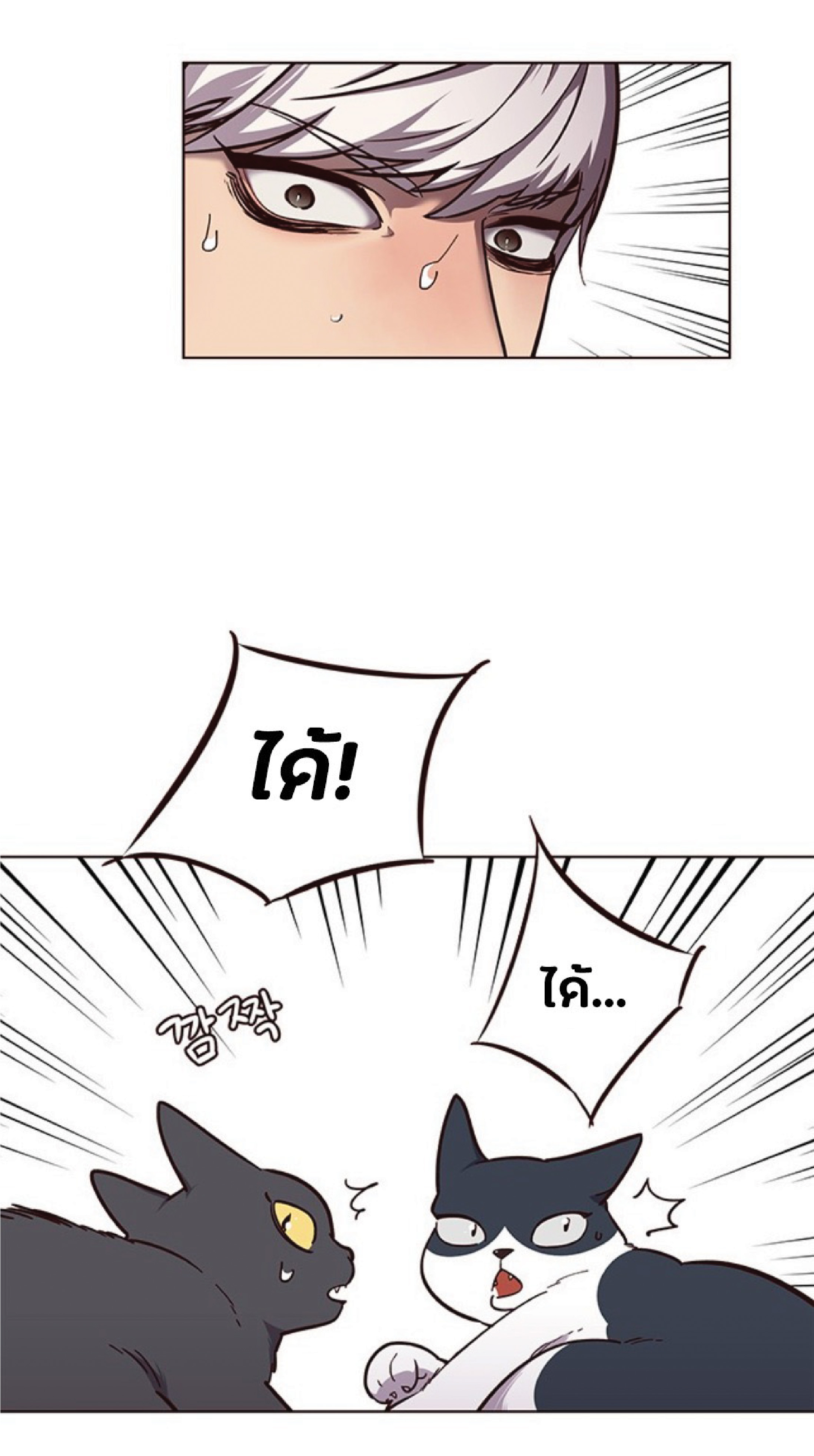 เธ•เธญเธเธ—เธตเน 50 16