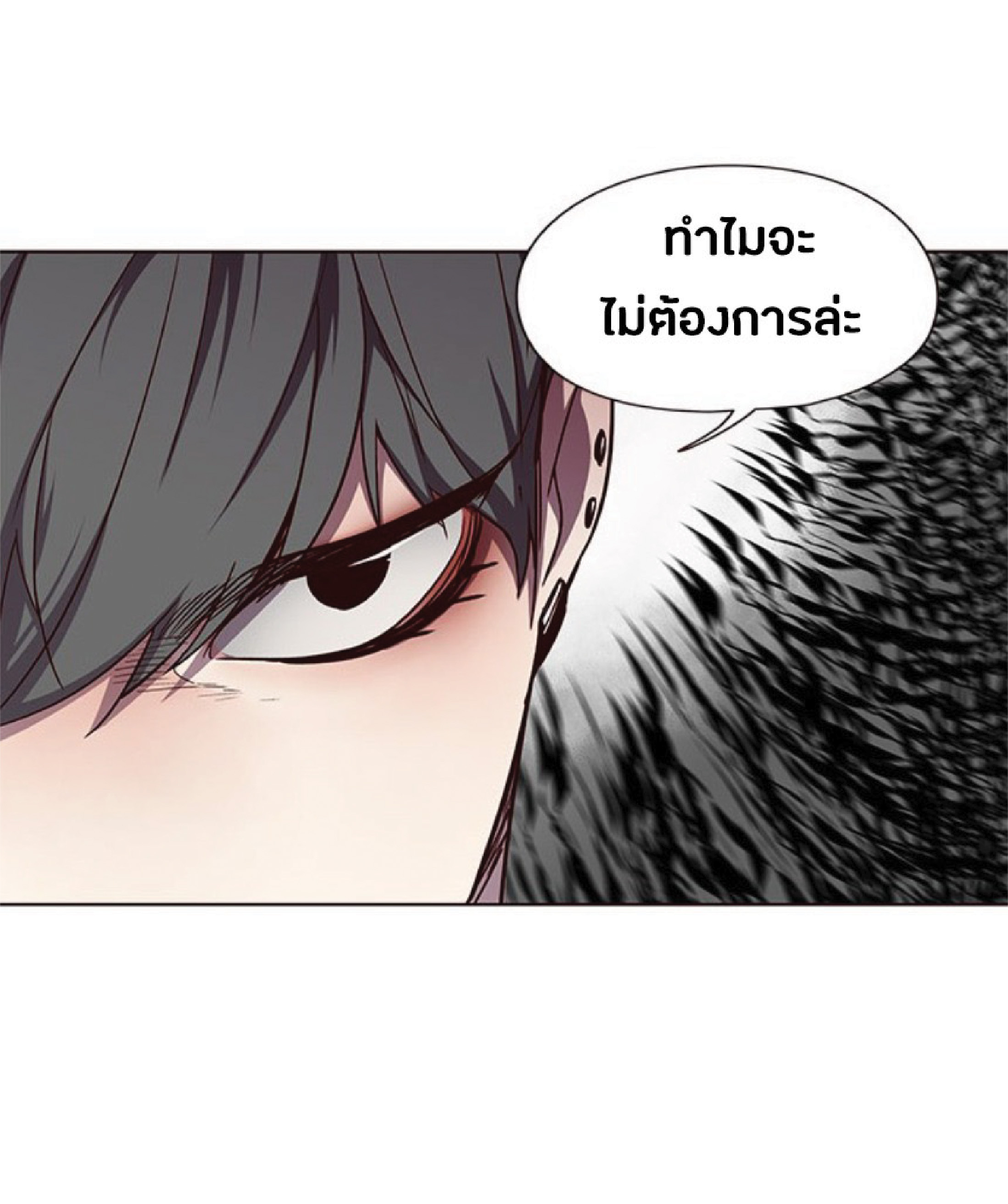 เธ•เธญเธเธ—เธตเน 50 56