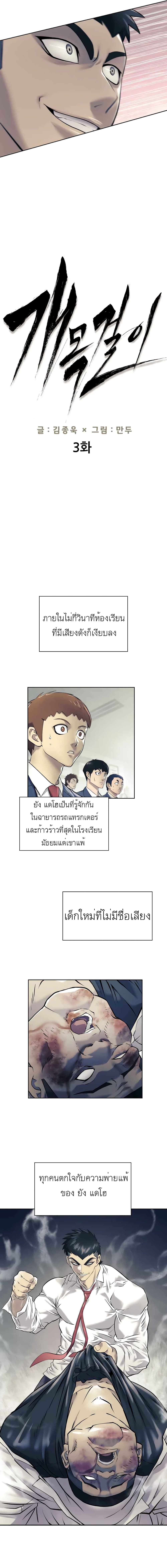 Dog Fight Club 3 (3)