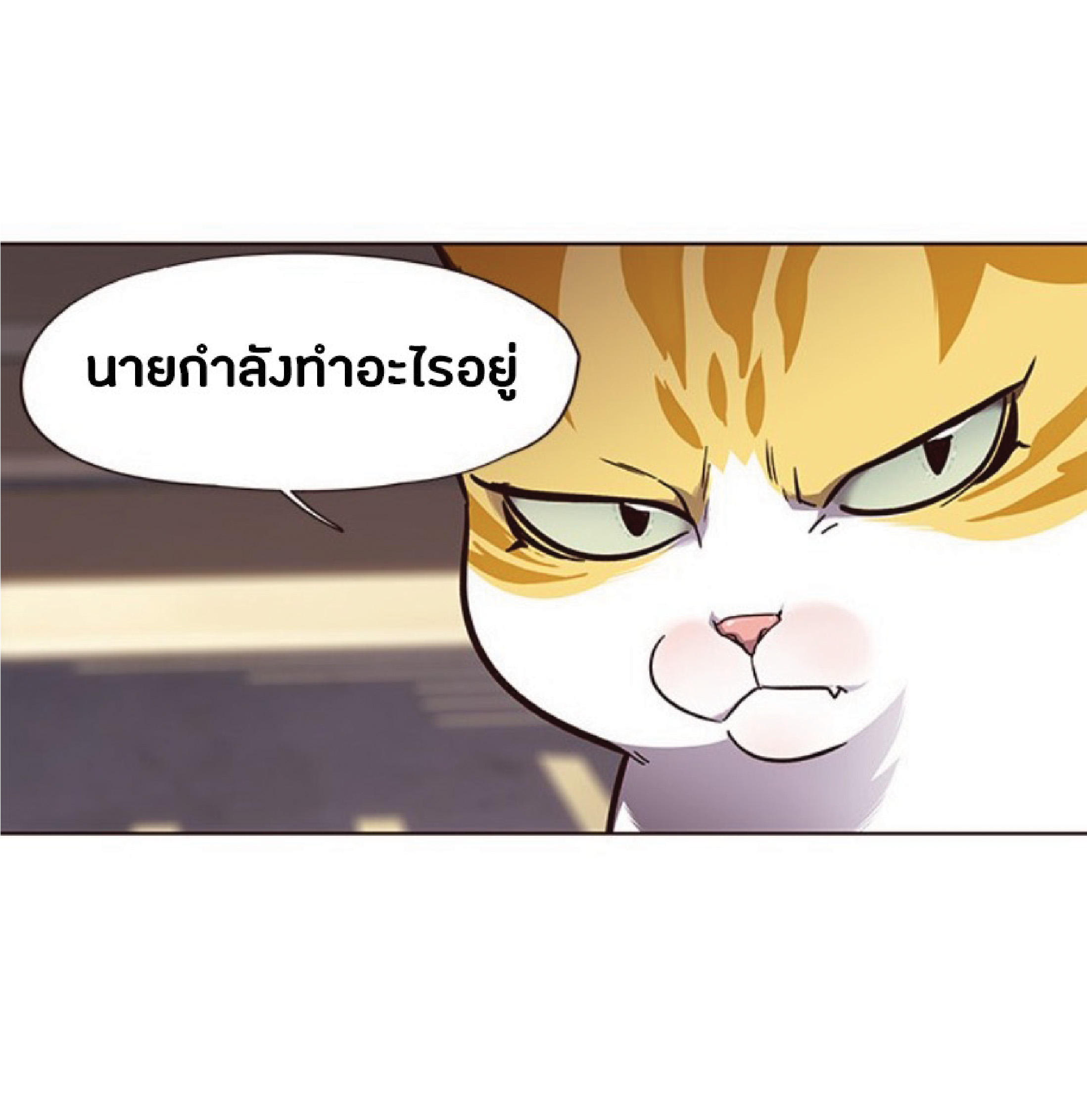 เธ•เธญเธเธ—เธตเน 50 22