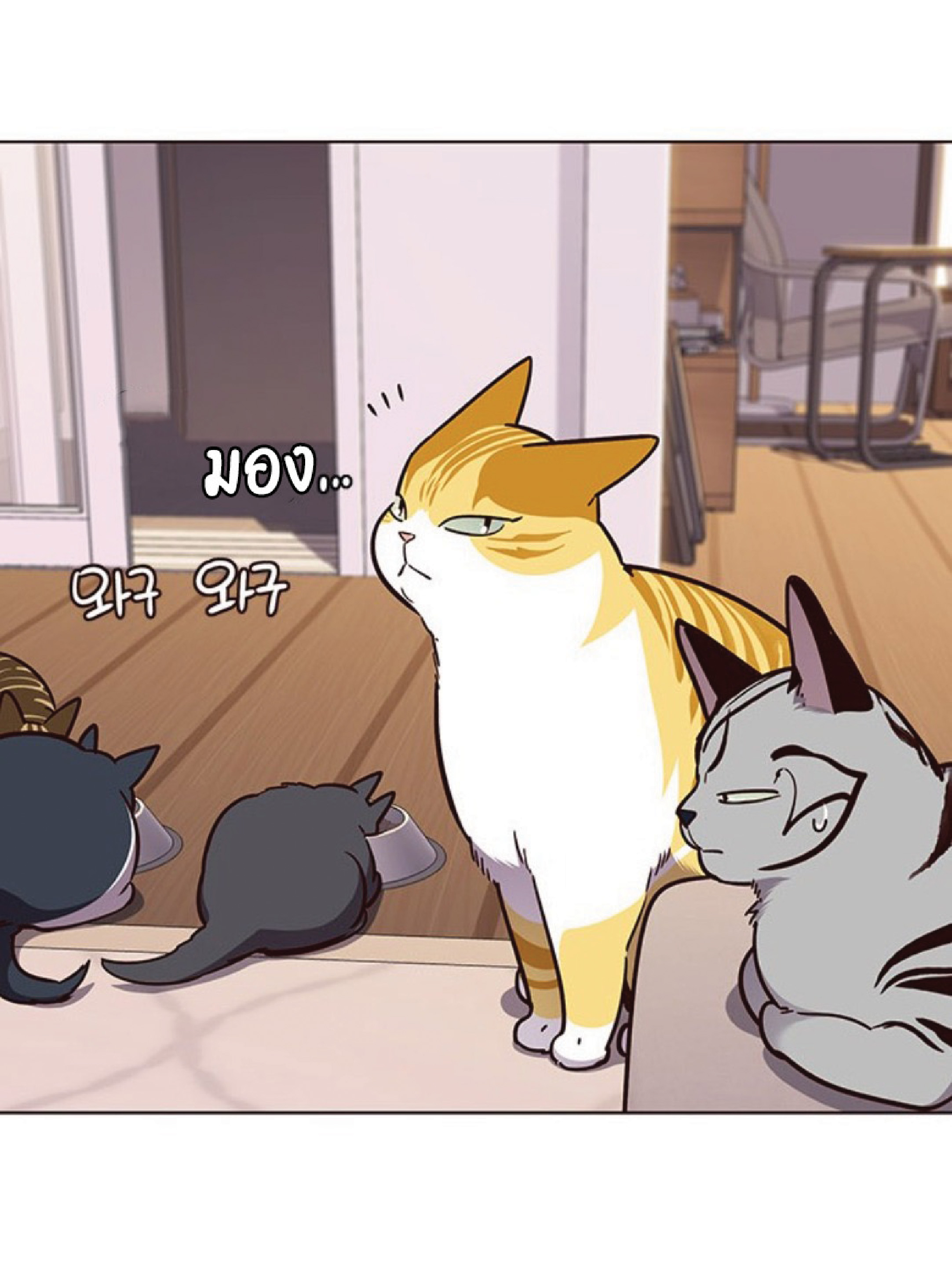 เธ•เธญเธเธ—เธตเน 56 56