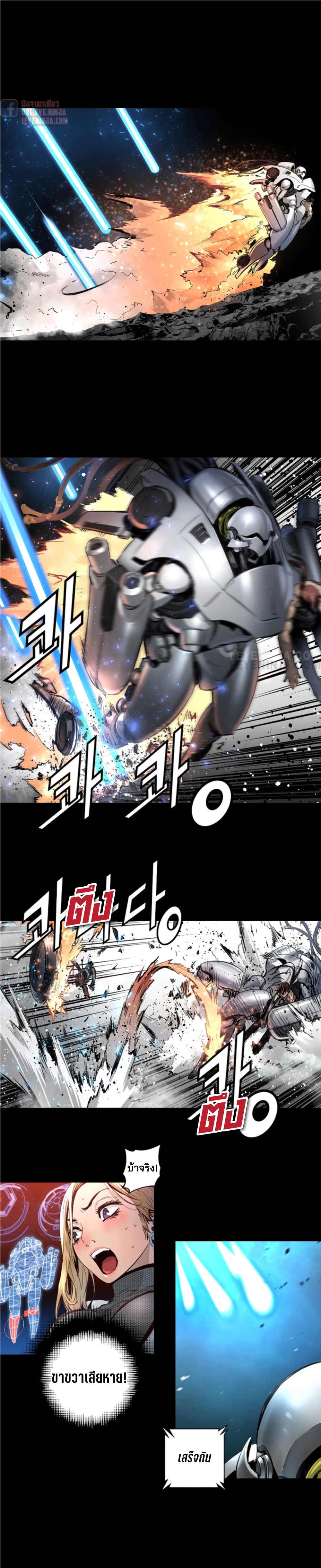 Trinity Wonder 34 (14)