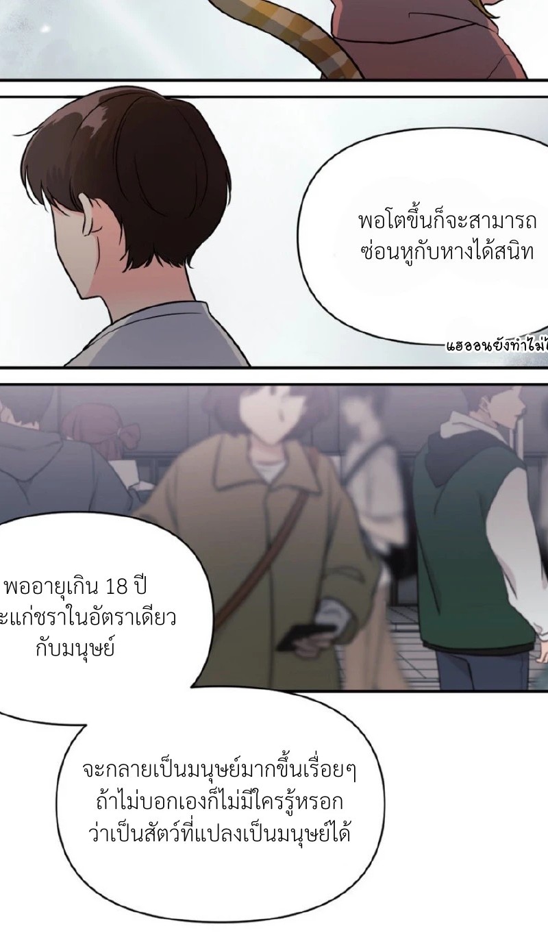 แด่คุณผู้เป็นที่รัก 1 101
