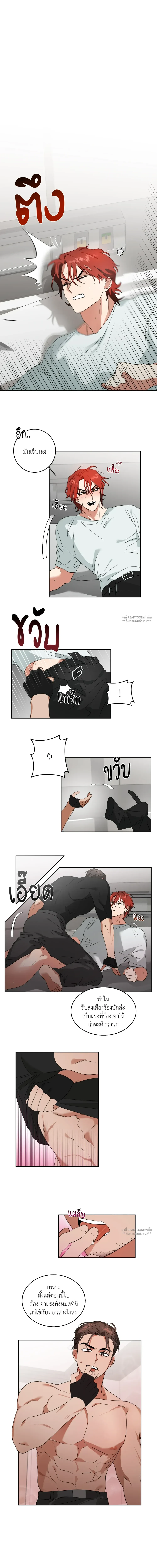 หมาป่าเฒ่ากับจิ้งจอกหนุ่ม 1 02