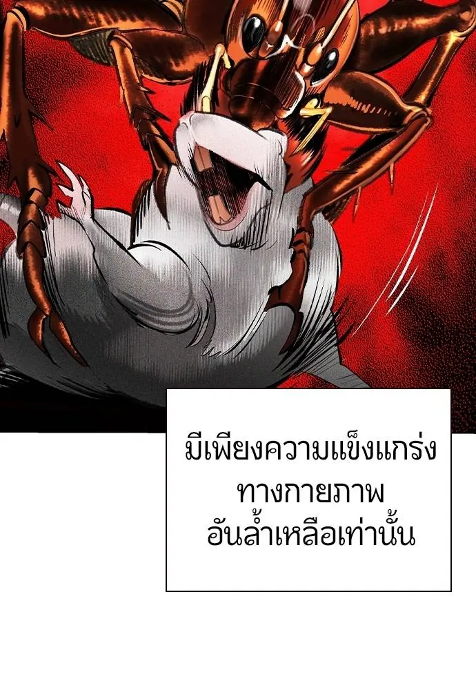 Jungle Juice 137 112