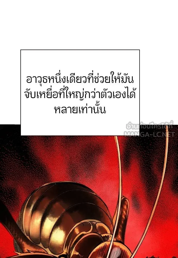 Jungle Juice 137 111