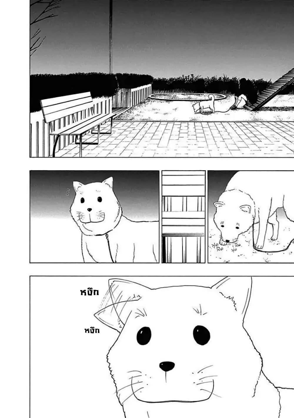 Toumei Ningen no Hone 13 (26)