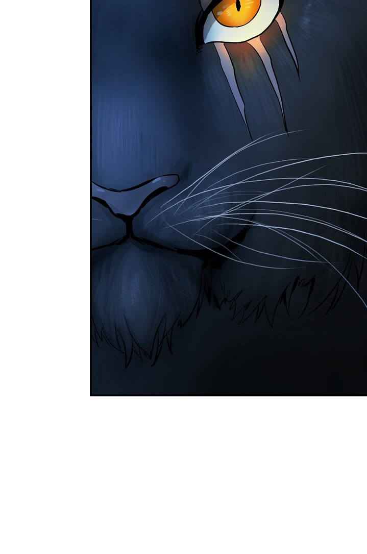 21.png