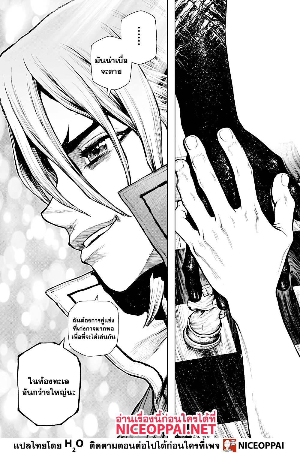 Dr. Stone 207 (18)