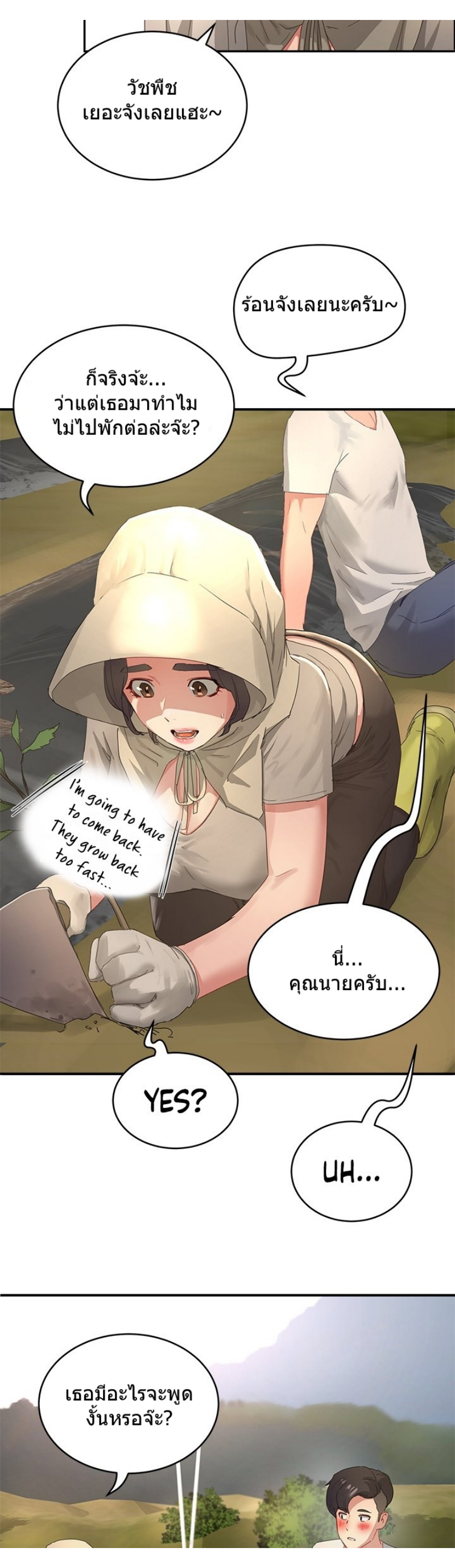 In the Summer 27 33