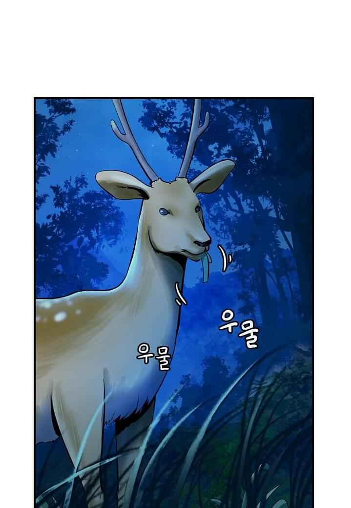 51.png