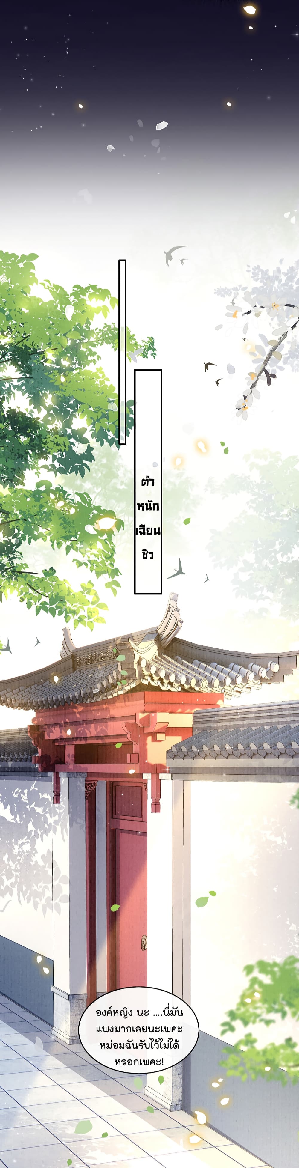 This Princess Lu Ziye 60 (26)