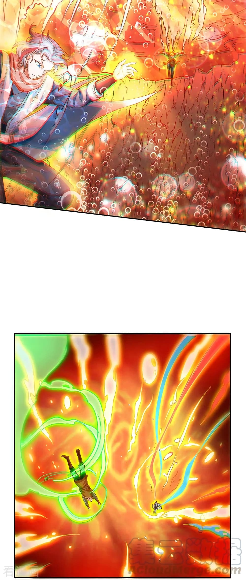 WuDao Du Zun 300 (20)