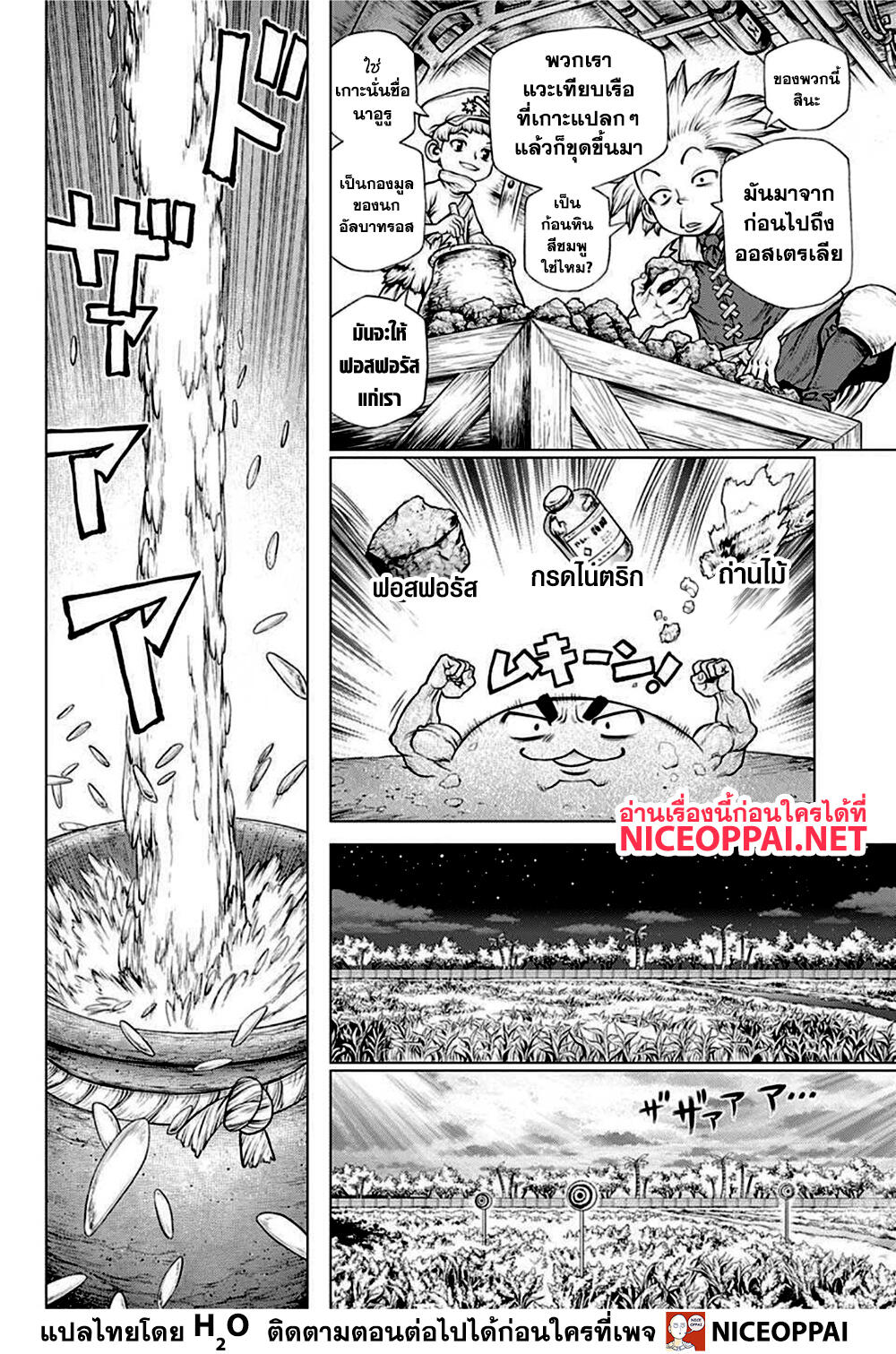 Dr Stone211 (11)