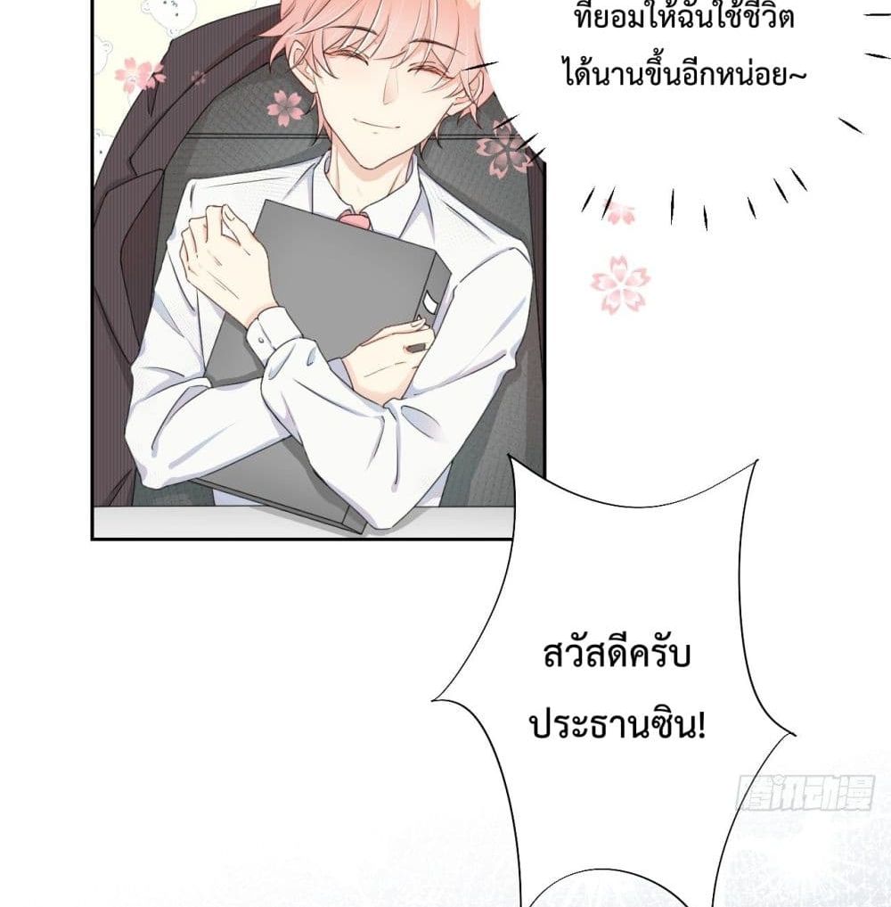 Top Plaything 3 (3)