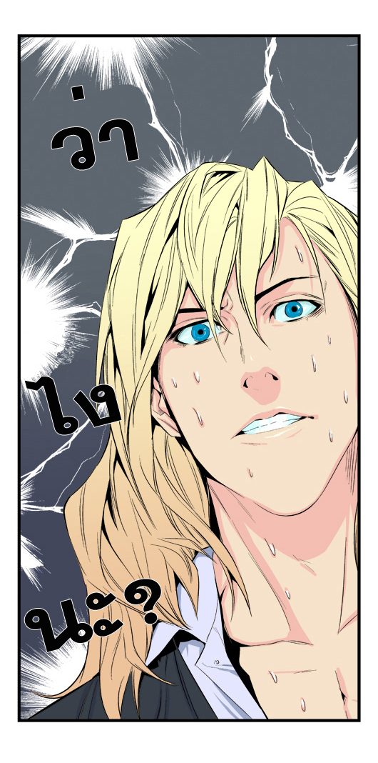 Noblesse 17 029