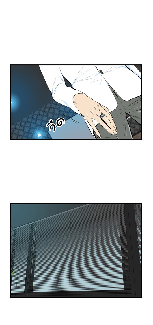 Noblesse 45 027