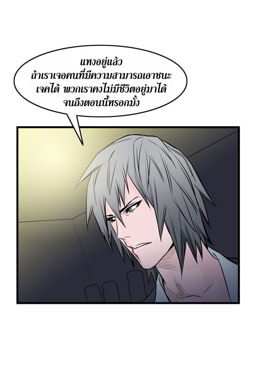Noblesse 48 017