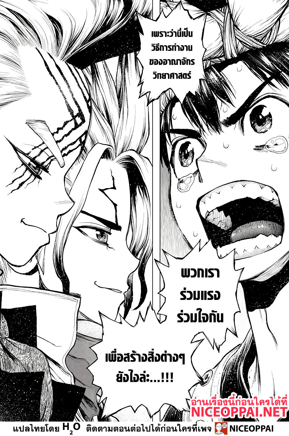 Dr. Stone 217 (11)