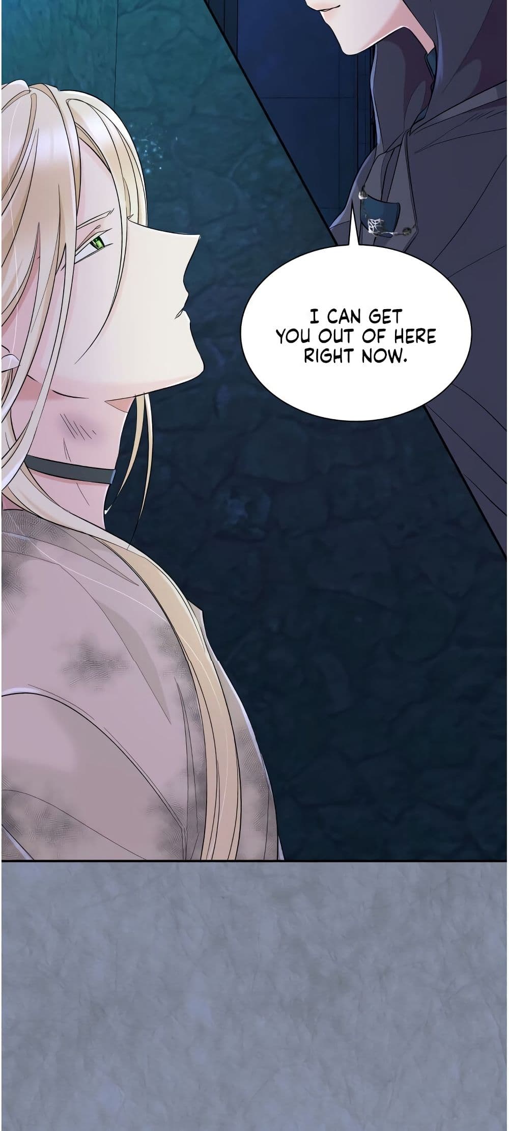 I Lost the Leash of the Yandere Male Lead 12 (12)