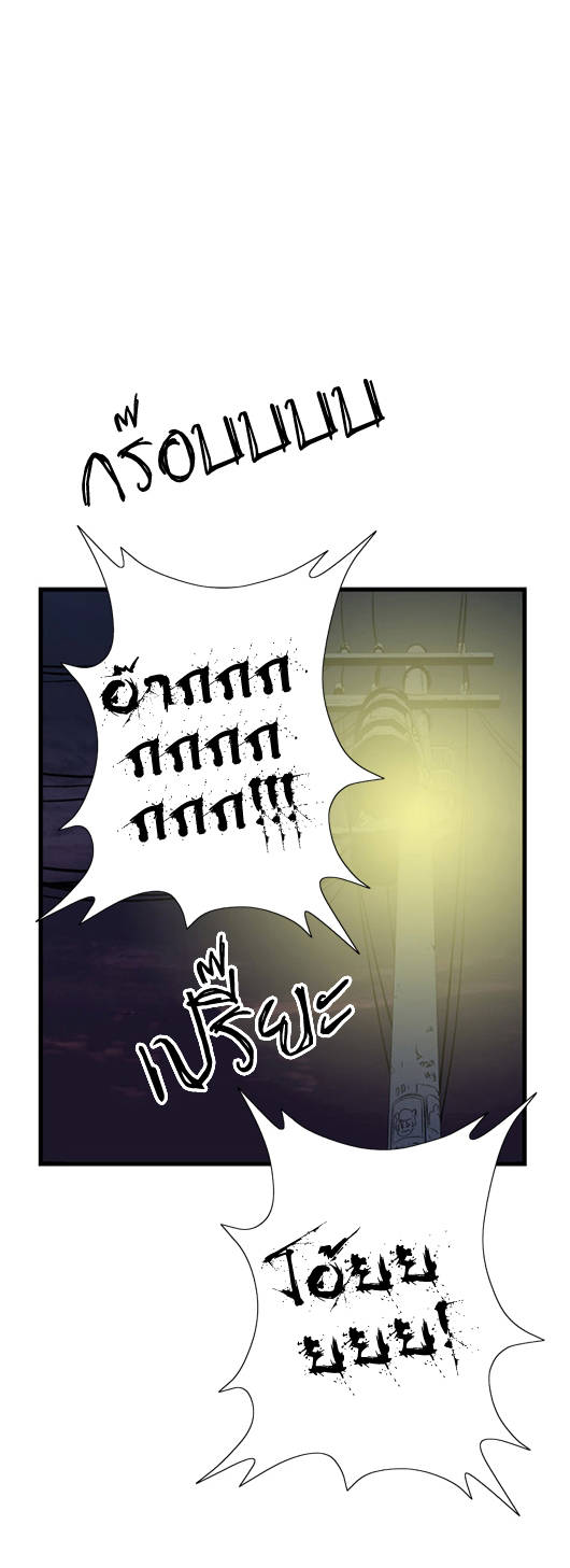 Noblesse 42 019