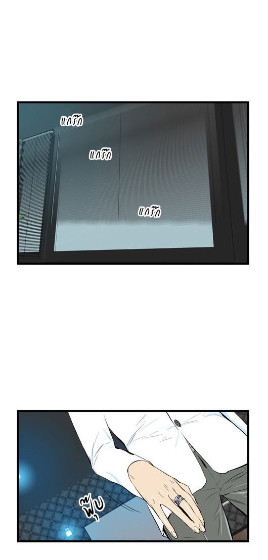 Noblesse 45 028