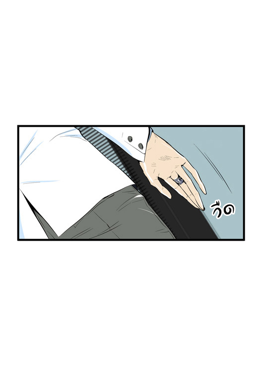 Noblesse 45 031