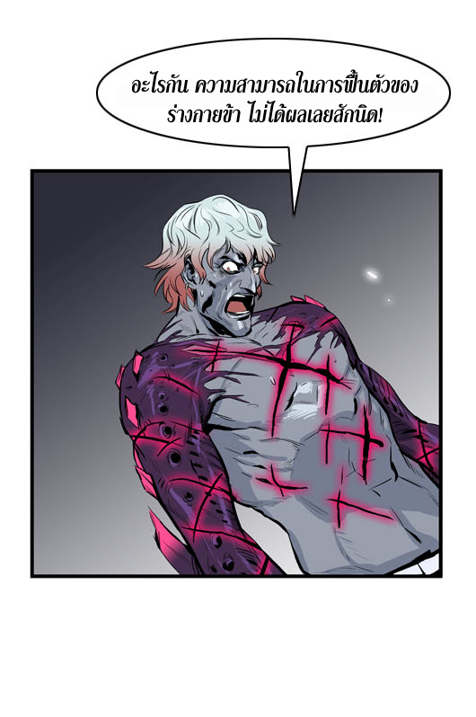 Noblesse 47 019