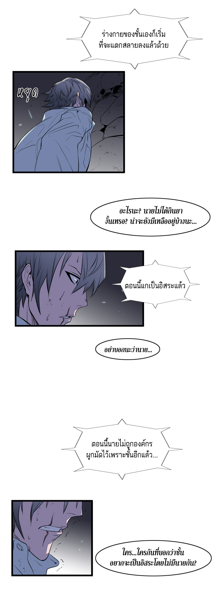 Noblesse 78 018
