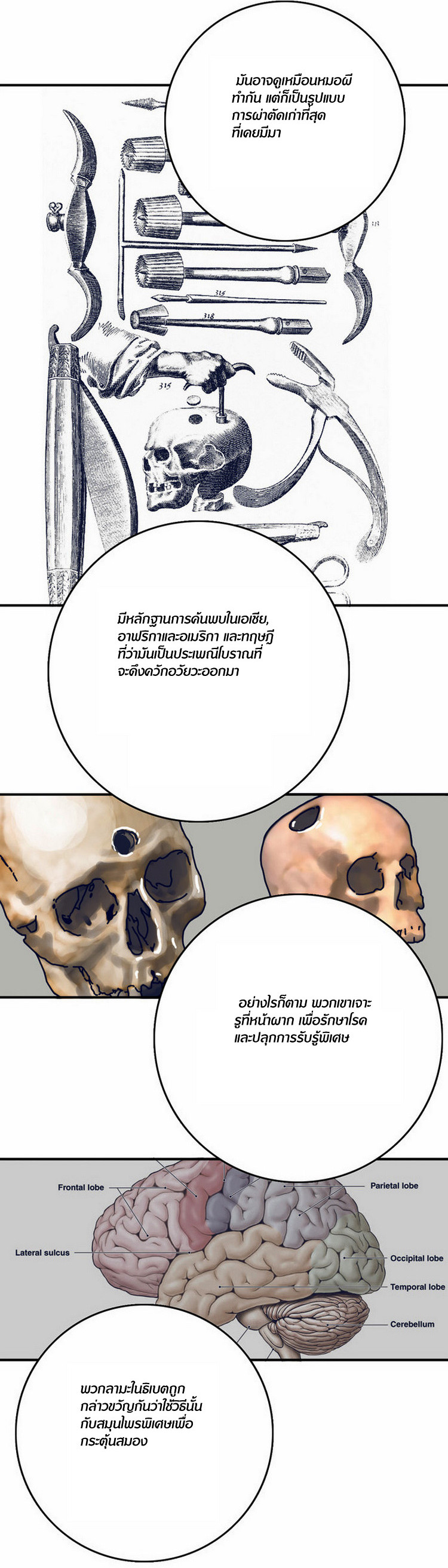 à¸­à¹ˆà¸²à¸™à¸¡à¸±à¸‡à¸‡à¸°