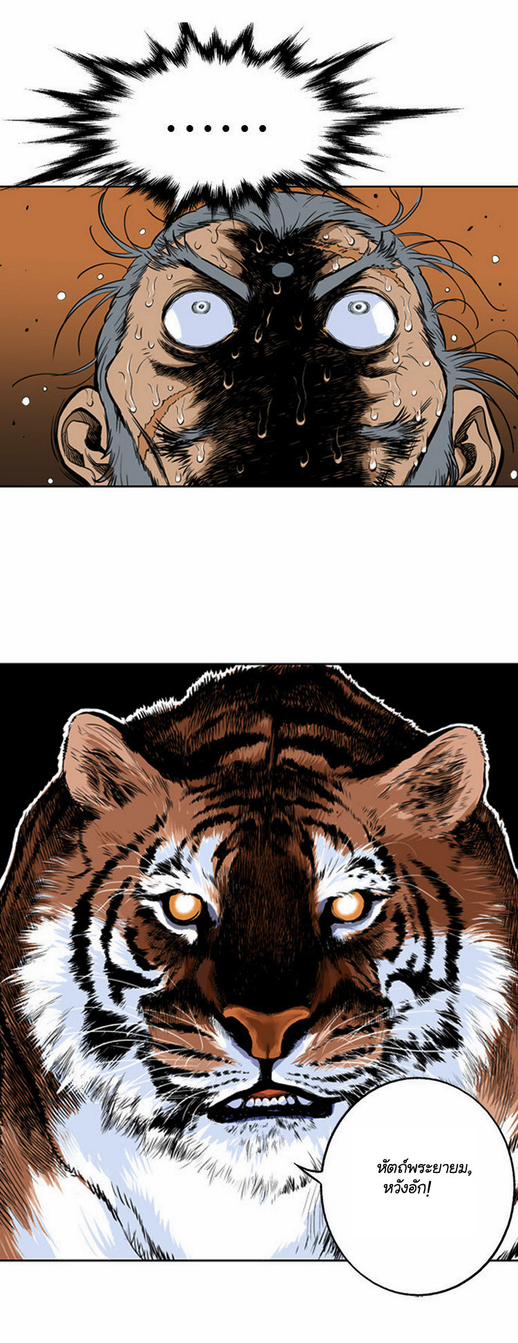 à¸­à¹ˆà¸²à¸™à¸¡à¸±à¸‡à¸‡à¸° à¸­à¹ˆà¸²à¸™à¸à¸²à¸£à¹Œà¸•à¸¹à¸™