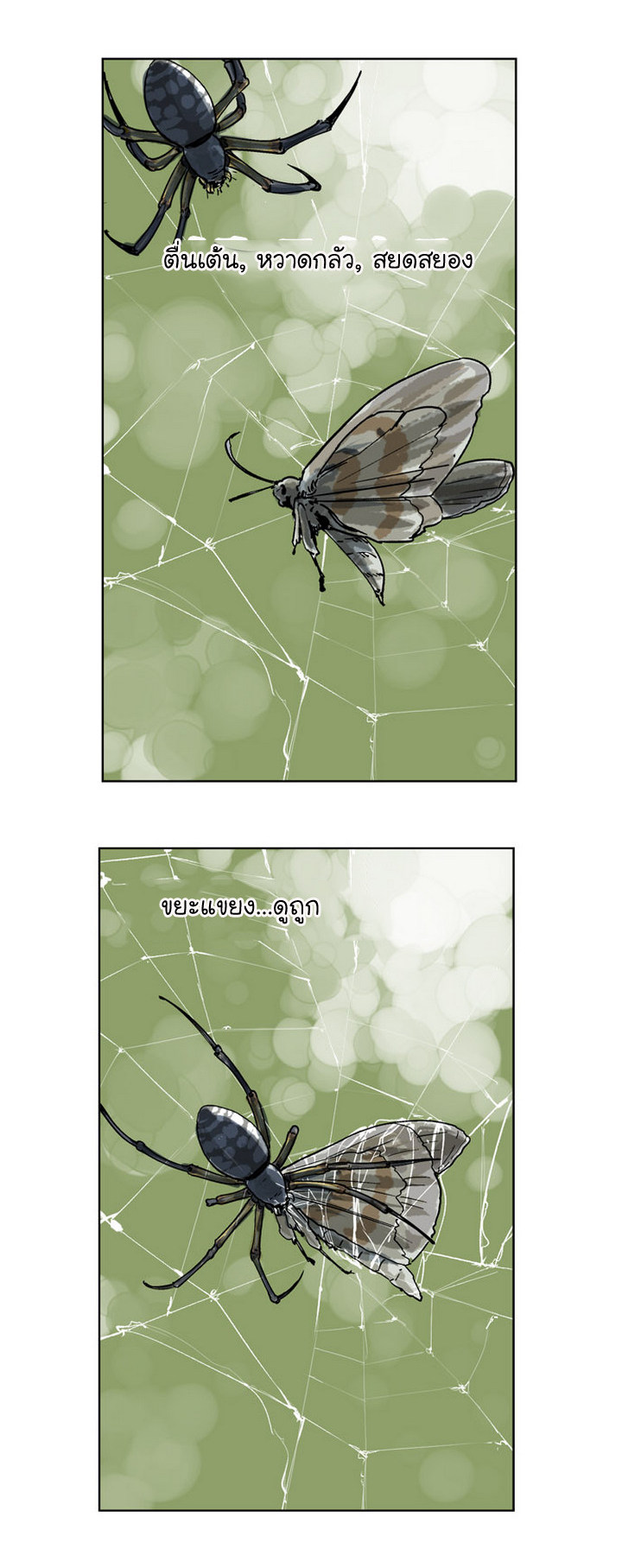à¸­à¹ˆà¸²à¸™à¸¡à¸±à¸‡à¸‡à¸° à¸­à¹ˆà¸²à¸™à¸à¸²à¸£à¹Œà¸•à¸¹à¸™
