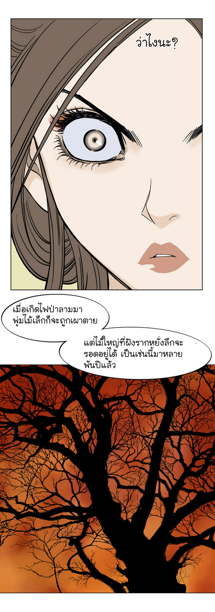 à¸­à¹ˆà¸²à¸™à¸¡à¸±à¸‡à¸‡à¸° à¸­à¹ˆà¸²à¸™à¸à¸²à¸£à¹Œà¸•à¸¹à¸™