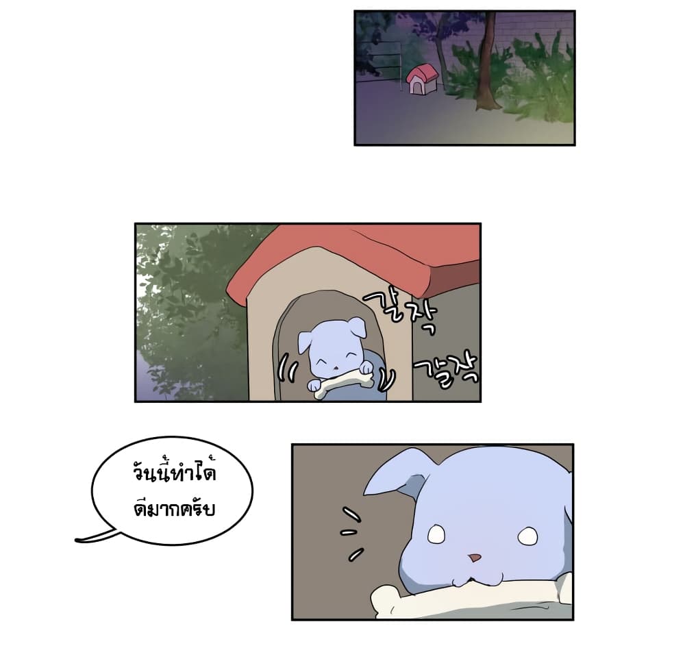 Devil Down Under 12 (3)