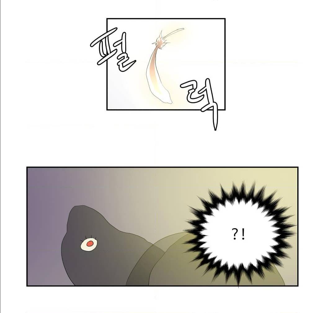 Devil Down Under 21 (61)