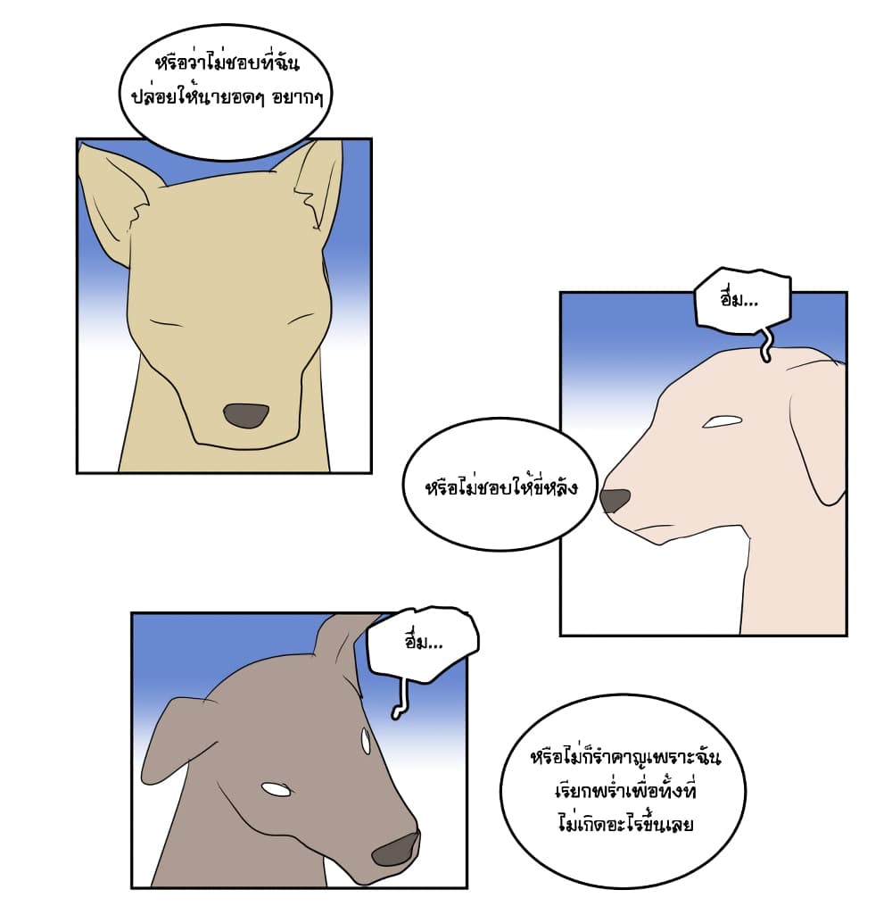 Devil Down Under 5 (14)