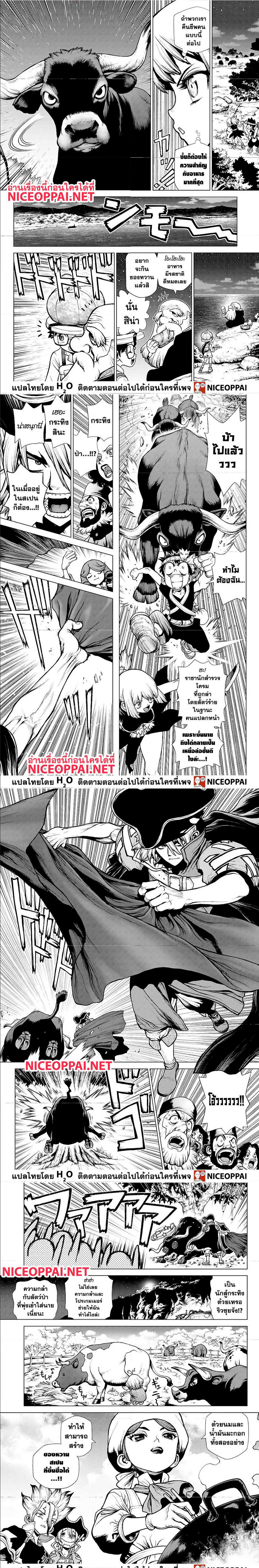 Dr. Stone202 (3)