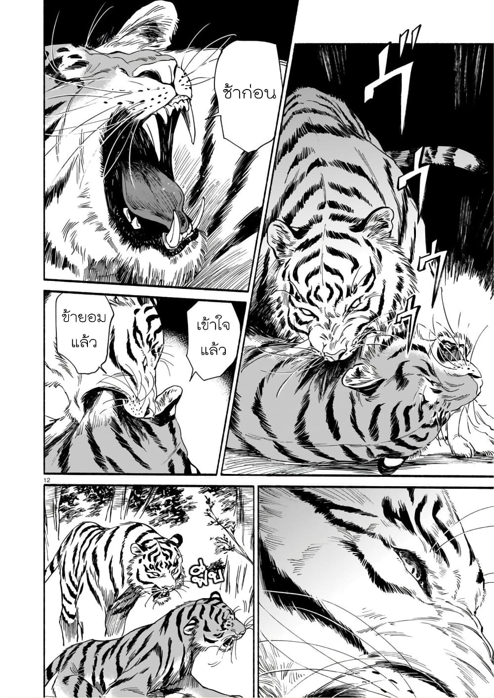 Tora ha Ryuu wo mada Tabenai3 (12)