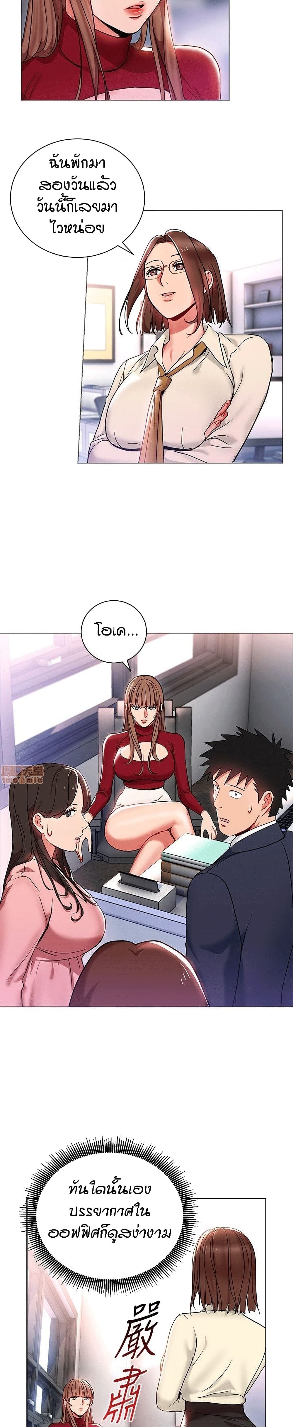 13 (3)
