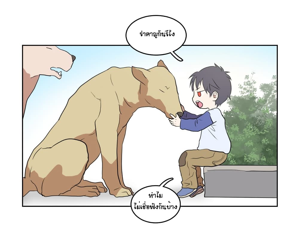 Devil Down Under 5 (12)