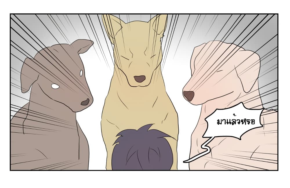 Devil Down Under 5 (8)