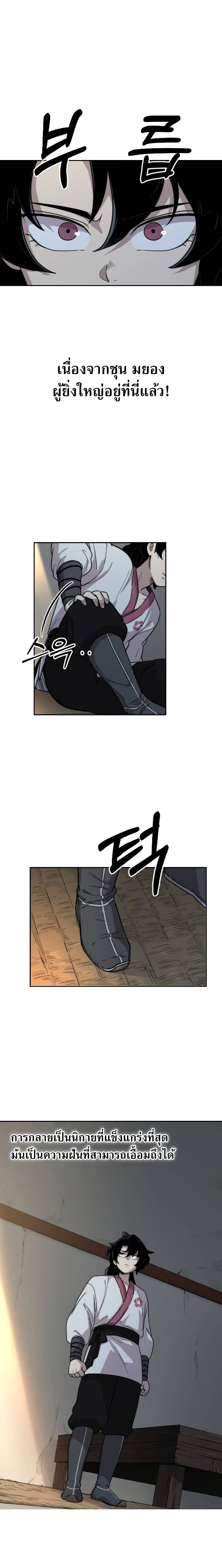 5 (13)