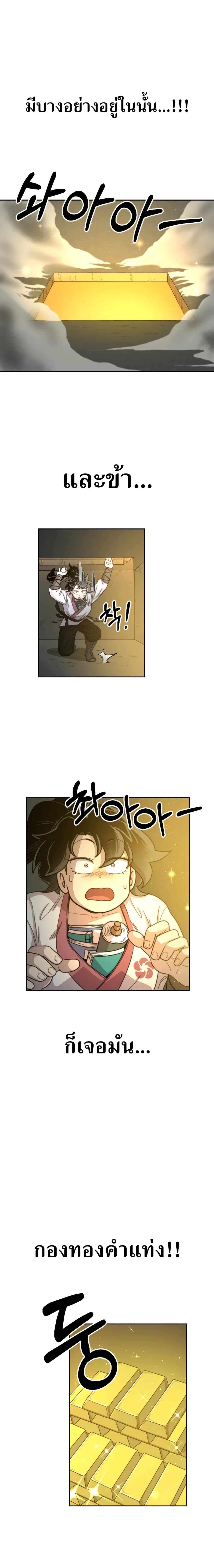 9 (17)