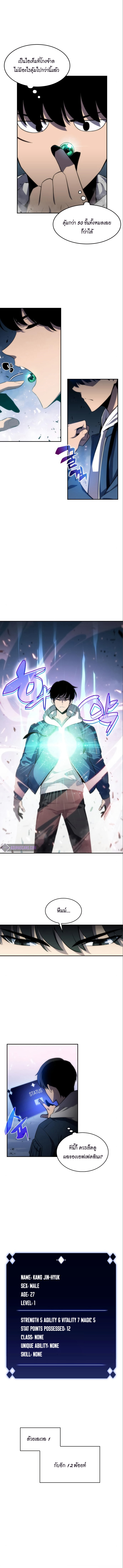 Max level newbie4 (6)