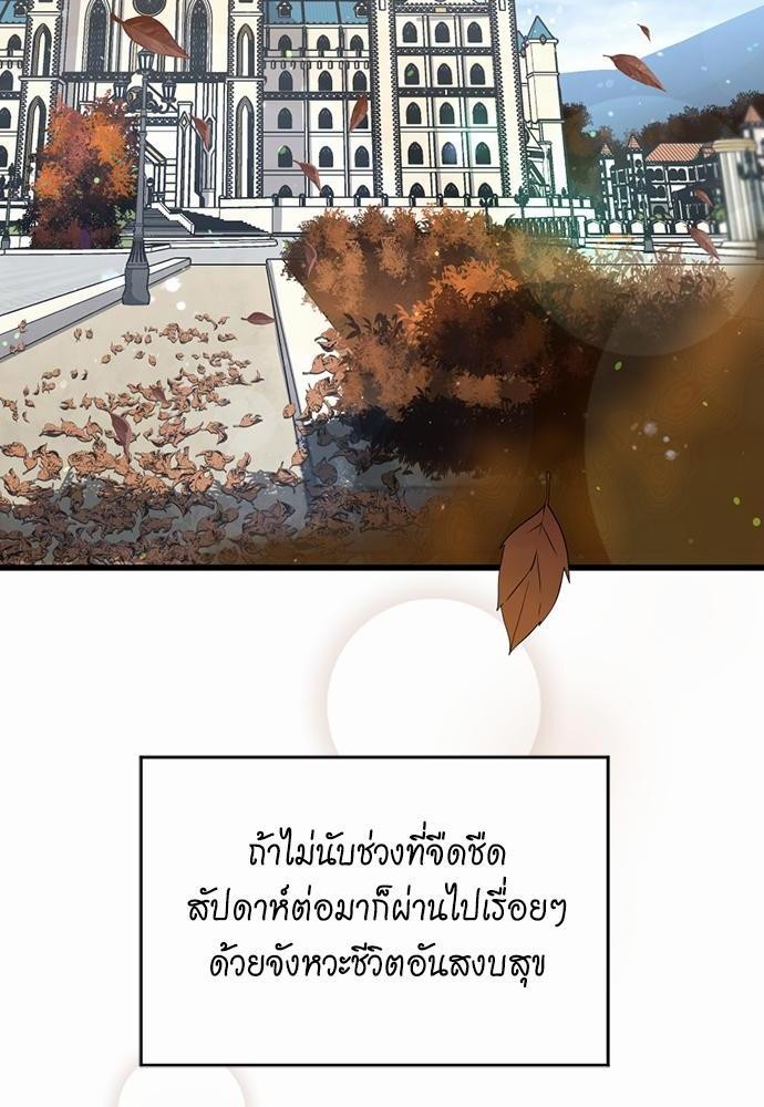 à¸šà¸µà¸à¸´à¸™114 (2)