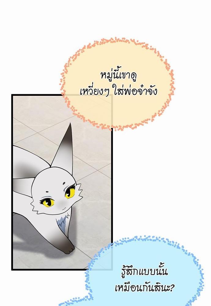 à¸šà¸µà¸à¸´à¸™114 (26)