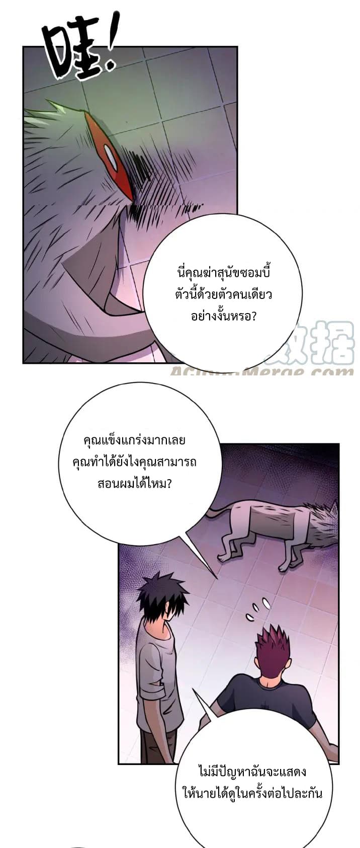 à¸­à¹ˆà¸²à¸™à¸¡à¸±à¸‡à¸‡à¸°