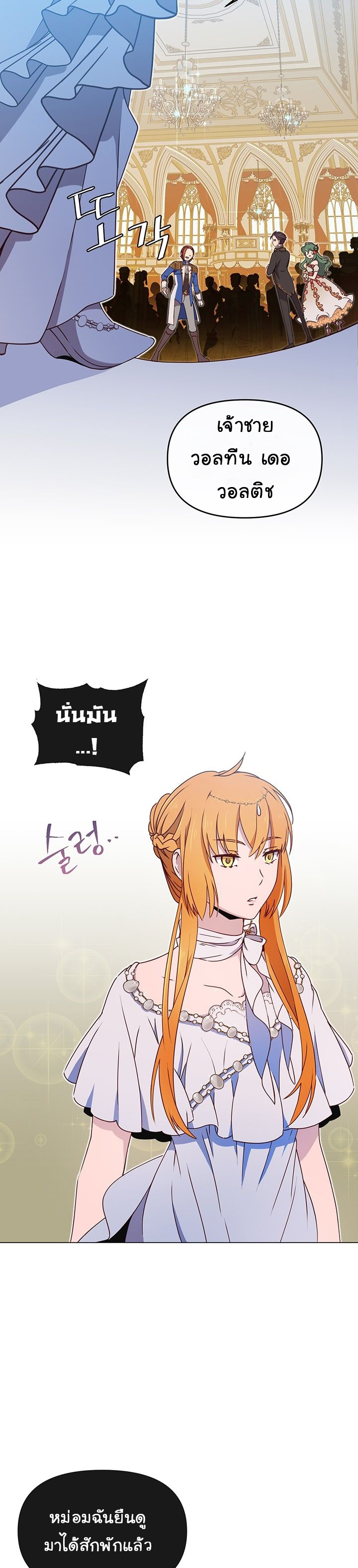 The Max Level Hero 14 (21)